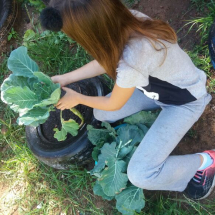 05621c7f-c384-44b6-af38-8c622230af5b 05621c7f-c384-44b6-af38-8c622230af5b