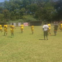 633bf72e-23f3-4da5-b6a0-f82dc0592952 633bf72e-23f3-4da5-b6a0-f82dc0592952