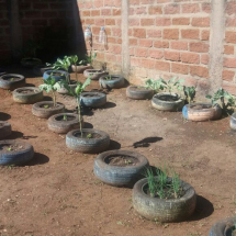 c9eee610-9510-49a0-917b-487b9176360c c9eee610-9510-49a0-917b-487b9176360c