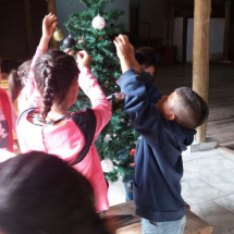 cd8204eb-6545-4350-8404-4192474027d4 cd8204eb-6545-4350-8404-4192474027d4