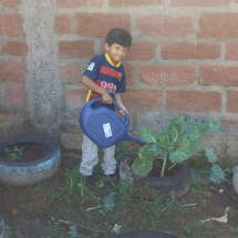 d909fc3f-cb8e-4a3c-8f9c-a709ae0876d3 d909fc3f-cb8e-4a3c-8f9c-a709ae0876d3