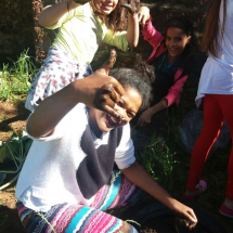 eef9e6d2-c7c3-4742-b1d4-f7ed1e8f7516 eef9e6d2-c7c3-4742-b1d4-f7ed1e8f7516