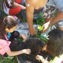 f9173702-33dc-4c46-ba72-c2425545065b f9173702-33dc-4c46-ba72-c2425545065b